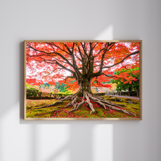 Maple Tree In Fall 1 - AI Digital Wall Art Download