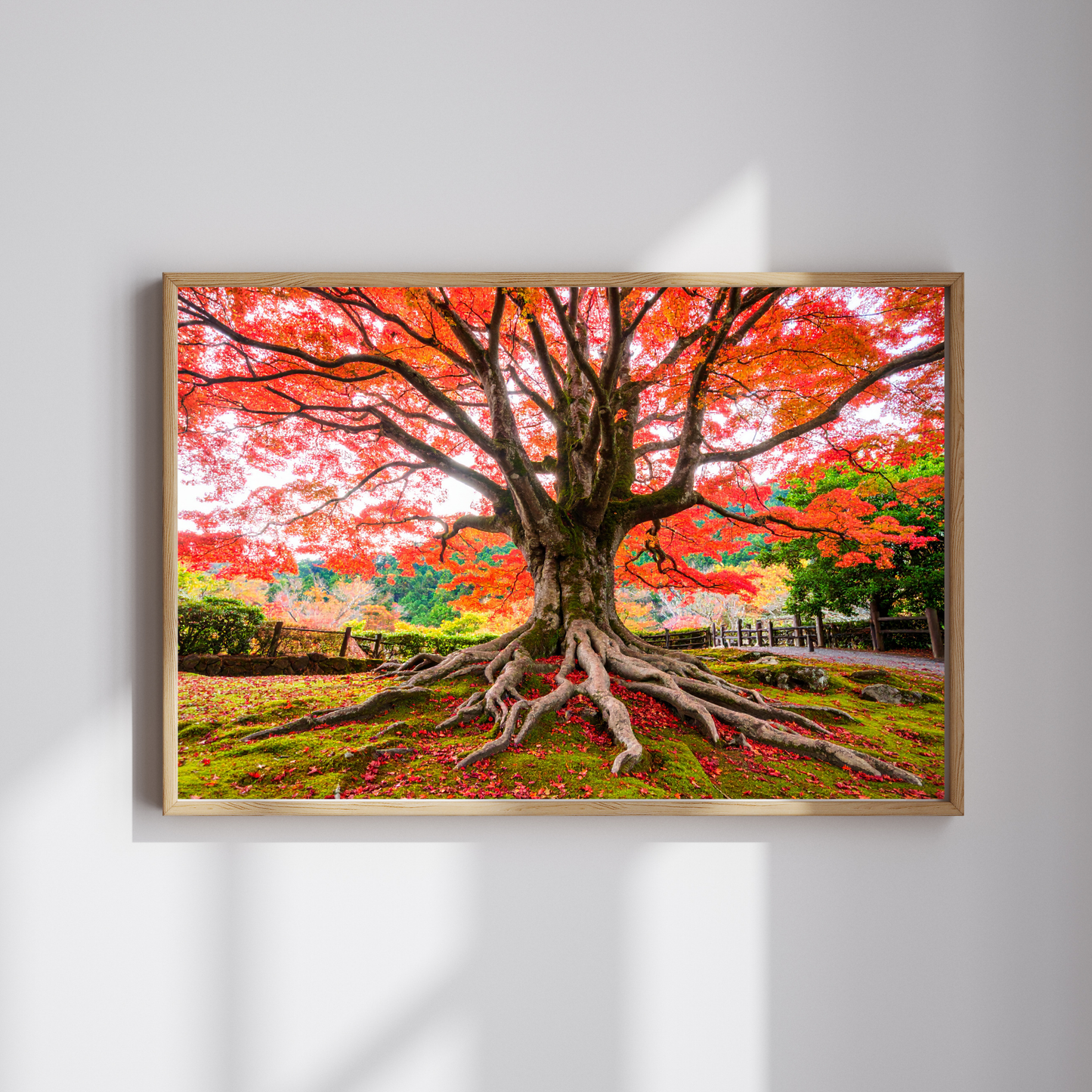 Maple Tree In Fall 1 - AI Digital Wall Art Download