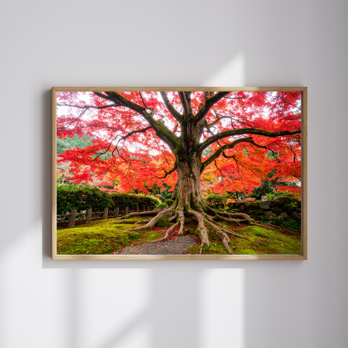 Maple Tree In Fall 3 - AI Digital Wall Art Download