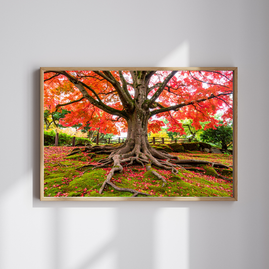 Maple Tree In Fall 4 - AI Digital Wall Art Download