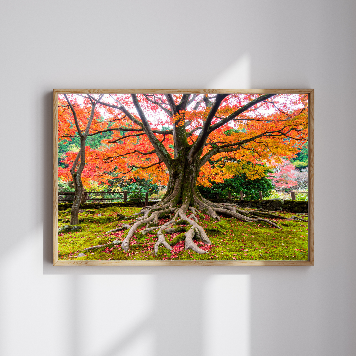 Maple Tree In Fall 2- AI Digital Wall Art Download